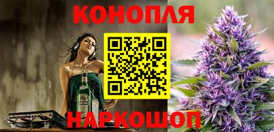 прущие крисы Камышлов
