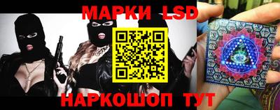 прущие крисы Камышлов