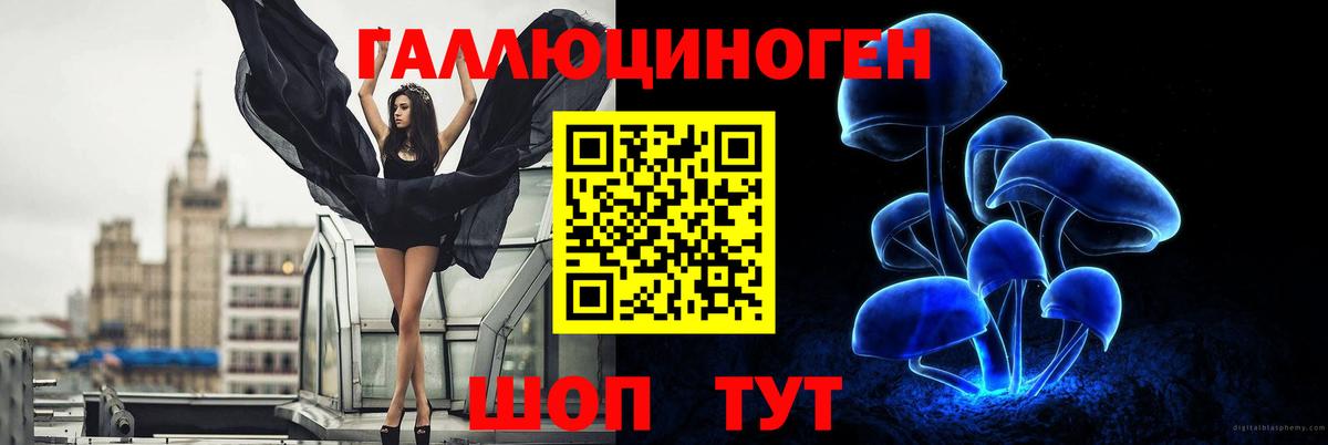 Псилоцибиновые грибы Cubensis Конаково